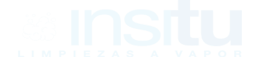 insitu-nuevo